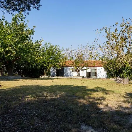 Vista - Beachfront, Garden, Amazing Sea View *
